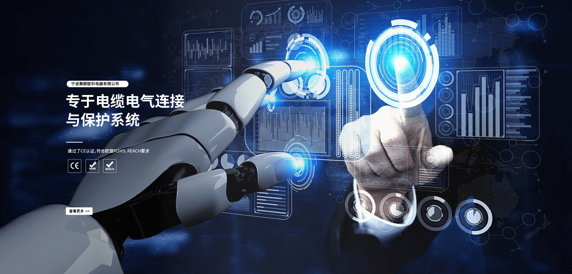 寧波賽順塑料電器有限公司